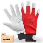 BWOLF IGUANA 12/60 Paar Arbeitshandschuhe Herren Lederhandschuhe Schutz Handschuh dornenfest, reißfest mit Klettband (12 paar, Größe 10 (12er Pack))