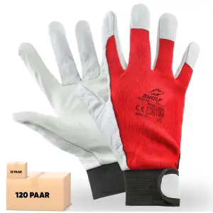 BWOLF IGUANA 12/60 Paar Arbeitshandschuhe Herren Lederhandschuhe Schutz Handschu